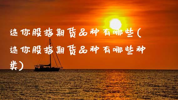 迷你股指期货品种有哪些(迷你股指期货品种有哪些种类)_https://www.zghnxxa.com_国际期货_第1张