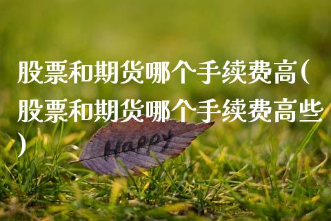 股票和期货哪个手续费高(股票和期货哪个手续费高些)_https://www.zghnxxa.com_国际期货_第1张