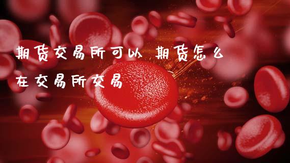 期货交易所可以 期货怎么在交易所交易_https://www.zghnxxa.com_黄金期货_第1张