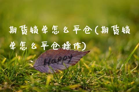 期货锁单怎么平仓(期货锁单怎么平仓操作)_https://www.zghnxxa.com_黄金期货_第1张