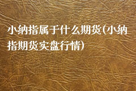 小纳指属于什么期货(小纳指期货实盘行情)_https://www.zghnxxa.com_期货直播室_第1张