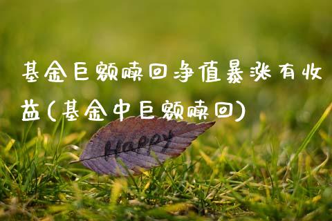 基金巨额赎回净值暴涨有收益(基金中巨额赎回)_https://www.zghnxxa.com_国际期货_第1张