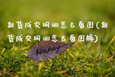 期货成交明细怎么看图(期货成交明细怎么看图解)_https://www.zghnxxa.com_期货直播室_第1张