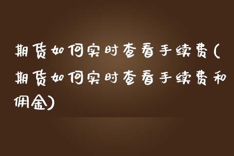 期货如何实时查看手续费(期货如何实时查看手续费和佣金)_国际期货_第1张_期货直播室 期货如何实时查看手续费(期货如何实时查看手续费和佣金)_https://www.zghnxxa.com_国际期货_第1张