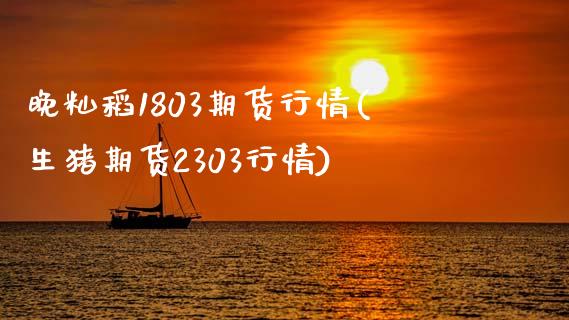 晚籼稻1803期货行情(生猪期货2303行情)_https://www.zghnxxa.com_期货直播室_第1张