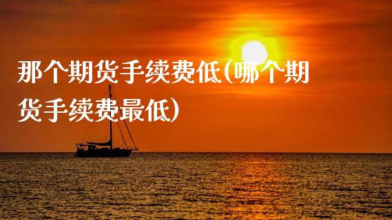 那个期货手续费低(哪个期货手续费最低)_https://www.zghnxxa.com_国际期货_第1张