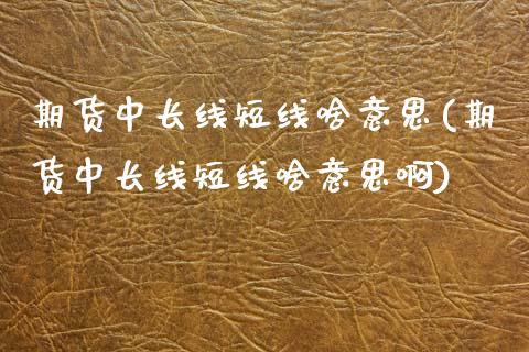 期货中长线短线啥意思(期货中长线短线啥意思啊)_https://www.zghnxxa.com_国际期货_第1张