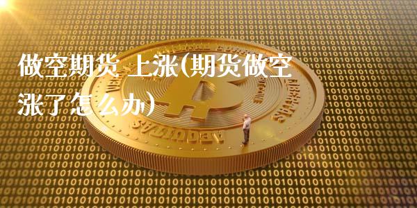 做空期货 上涨(期货做空涨了怎么办)_https://www.zghnxxa.com_内盘期货_第1张