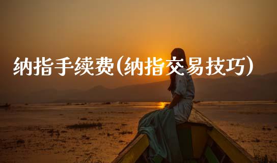 纳指手续费(纳指交易技巧)_https://www.zghnxxa.com_期货直播室_第1张