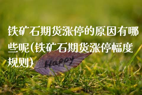 铁矿石期货涨停的原因有哪些呢(铁矿石期货涨停幅度规则)_国际期货_第1张_期货直播室 铁矿石期货涨停的原因有哪些呢(铁矿石期货涨停幅度规则)_https://www.zghnxxa.com_国际期货_第1张