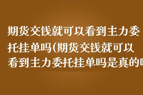 期货交钱就可以看到主力委托挂单吗(期货交钱就可以看到主力委托挂单吗是真的吗)_https://www.zghnxxa.com_内盘期货_第1张