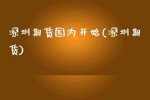 深圳期货国内开始(深圳期货)_https://www.zghnxxa.com_国际期货_第1张