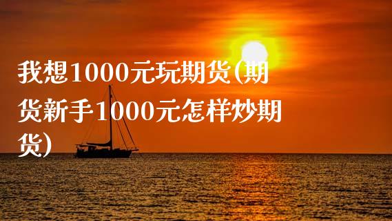 我想1000元玩期货(期货新手1000元怎样炒期货)_https://www.zghnxxa.com_内盘期货_第1张