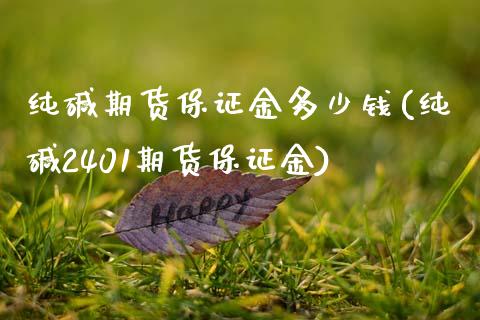 纯碱期货保证金多少钱(纯碱2401期货保证金)_https://www.zghnxxa.com_国际期货_第1张