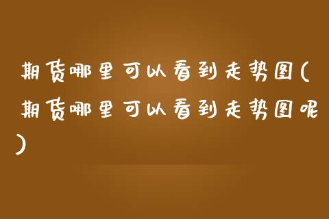 期货哪里可以看到走势图(期货哪里可以看到走势图呢)_https://www.zghnxxa.com_国际期货_第1张