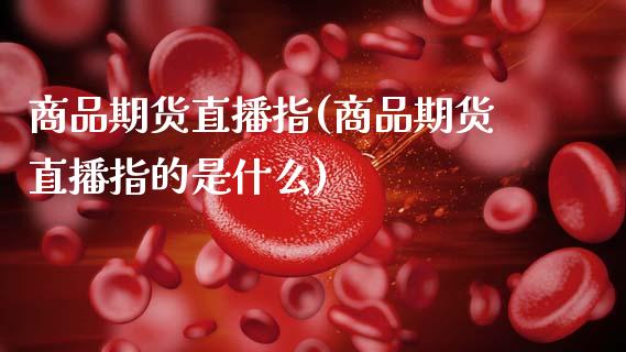 商品期货直播指(商品期货直播指的是什么)_国际期货_第1张_期货直播室 商品期货直播指(商品期货直播指的是什么)_https://www.zghnxxa.com_国际期货_第1张