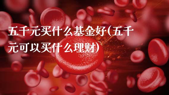 五千元买什么基金好(五千元可以买什么理财)_国际期货_第1张_期货直播室 五千元买什么基金好(五千元可以买什么理财)_https://www.zghnxxa.com_国际期货_第1张