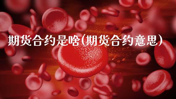 期货合约是啥(期货合约意思)_内盘期货_第1张_期货直播室 期货合约是啥(期货合约意思)_https://www.zghnxxa.com_内盘期货_第1张