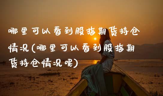 哪里可以看到股指期货持仓情况(哪里可以看到股指期货持仓情况呢)_https://www.zghnxxa.com_黄金期货_第1张