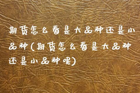 期货怎么看是大品种还是小品种(期货怎么看是大品种还是小品种呢)_https://www.zghnxxa.com_期货直播室_第1张