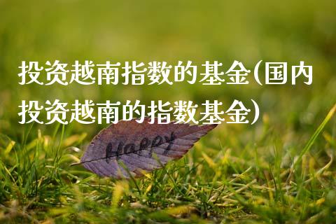 投资越南指数的基金(国内投资越南的指数基金)_https://www.zghnxxa.com_内盘期货_第1张