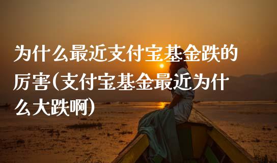 为什么最近支付宝基金跌的厉害(支付宝基金最近为什么大跌啊)_https://www.zghnxxa.com_期货直播室_第1张