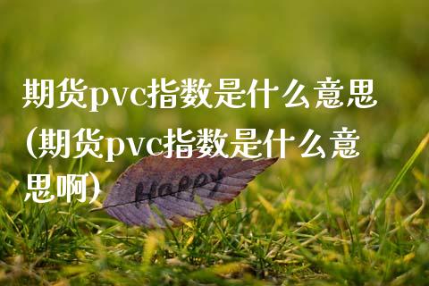 期货pvc指数是什么意思(期货pvc指数是什么意思啊)_https://www.zghnxxa.com_内盘期货_第1张