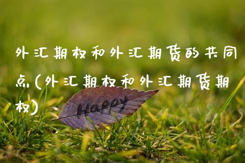 外汇期权和外汇期货的共同点(外汇期权和外汇期货期权)_https://www.zghnxxa.com_黄金期货_第1张
