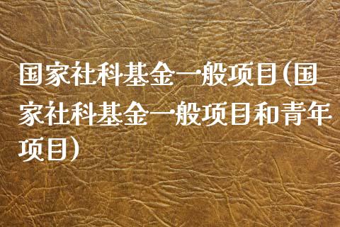 国家社科基金一般项目(国家社科基金一般项目和青年项目)_https://www.zghnxxa.com_国际期货_第1张