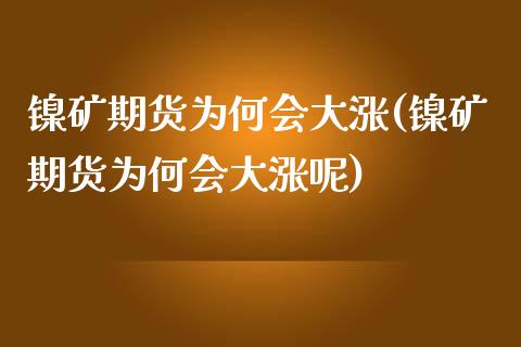 镍矿期货为何会大涨(镍矿期货为何会大涨呢)_期货直播室_第1张_期货直播室 镍矿期货为何会大涨(镍矿期货为何会大涨呢)_https://www.zghnxxa.com_期货直播室_第1张