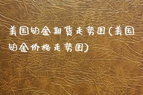 美国铂金期货走势图(美国铂金价格走势图)_https://www.zghnxxa.com_国际期货_第1张