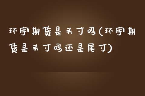 环宇期货是头寸吗(环宇期货是头寸吗还是尾寸)_https://www.zghnxxa.com_期货直播室_第1张