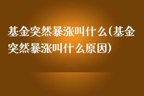 基金突然暴涨叫什么(基金突然暴涨叫什么原因)_https://www.zghnxxa.com_黄金期货_第1张