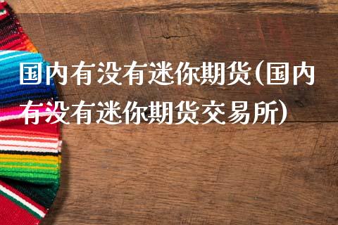 国内有没有迷你期货(国内有没有迷你期货交易所)_https://www.zghnxxa.com_内盘期货_第1张