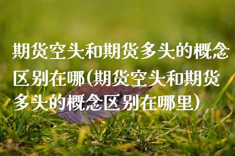 期货空头和期货多头的概念区别在哪(期货空头和期货多头的概念区别在哪里)_https://www.zghnxxa.com_黄金期货_第1张