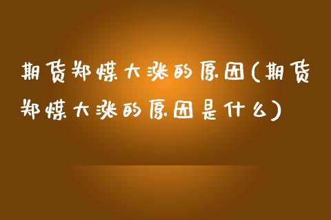 期货郑煤大涨的原因(期货郑煤大涨的原因是什么)_https://www.zghnxxa.com_国际期货_第1张