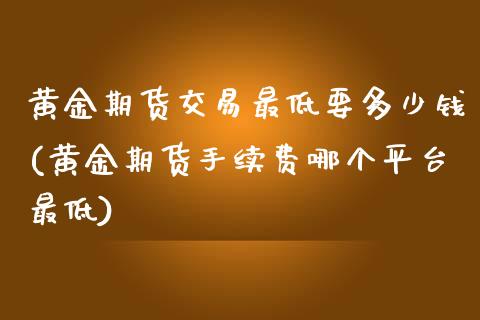 黄金期货交易最低要多少钱(黄金期货手续费哪个平台最低)_https://www.zghnxxa.com_内盘期货_第1张
