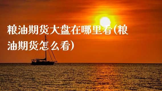 粮油期货大盘在哪里看(粮油期货怎么看)_https://www.zghnxxa.com_内盘期货_第1张