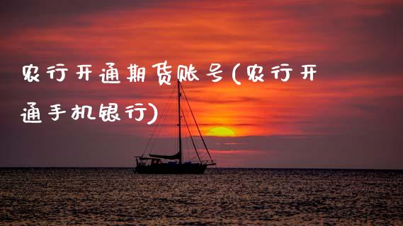 农行开通期货账号(农行开通手机银行)_https://www.zghnxxa.com_内盘期货_第1张