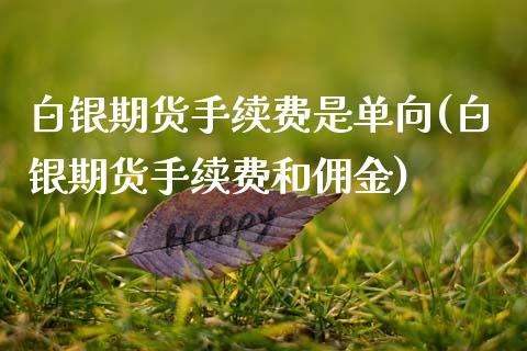 白银期货手续费是单向(白银期货手续费和佣金)_https://www.zghnxxa.com_国际期货_第1张