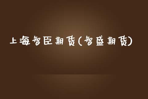 上海智臣期货(智盛期货)_https://www.zghnxxa.com_期货直播室_第1张