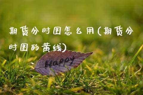 期货分时图怎么用(期货分时图的黄线)_https://www.zghnxxa.com_国际期货_第1张