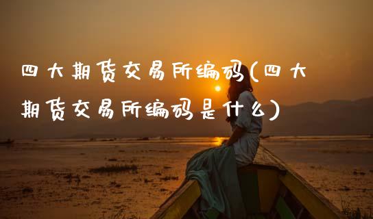 四大期货交易所编码(四大期货交易所编码是什么)_https://www.zghnxxa.com_内盘期货_第1张