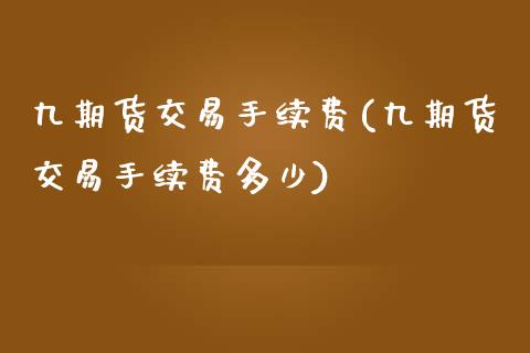 九期货交易手续费(九期货交易手续费多少)_https://www.zghnxxa.com_国际期货_第1张