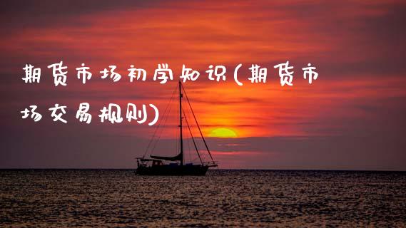 期货市场初学知识(期货市场交易规则)_https://www.zghnxxa.com_国际期货_第1张