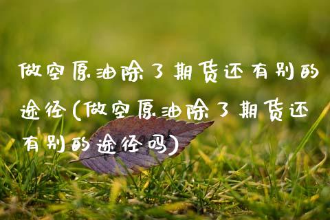做空原油除了期货还有别的途径(做空原油除了期货还有别的途径吗)_https://www.zghnxxa.com_国际期货_第1张
