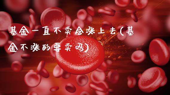 基金一直不卖会涨上去(基金不涨的要卖吗)_https://www.zghnxxa.com_期货直播室_第1张