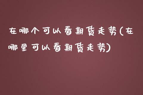 在哪个可以看期货走势(在哪里可以看期货走势)_https://www.zghnxxa.com_期货直播室_第1张