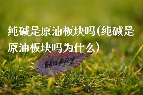 纯碱是原油板块吗(纯碱是原油板块吗为什么)_https://www.zghnxxa.com_黄金期货_第1张