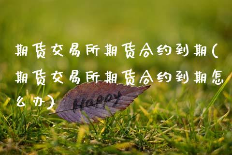 期货交易所期货合约到期(期货交易所期货合约到期怎么办)_https://www.zghnxxa.com_黄金期货_第1张